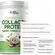 COLLAGEN PROTEIN BODY BALANCE (PT) 450G - TRUE SOURCE
