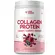 COLLAGEN PROTEIN BODY BALANCE (PT) 450G - TRUE SOURCE