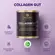 COLLAGEN GUT SAUDE INTESTINAL (LT) 460G - ESSENTIAL