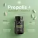 PRÓPOLIS VERDE + QUERCETINA + VITAMINA C + BETA GLUCANA (PT) 60CAPS - ESSENTIAL